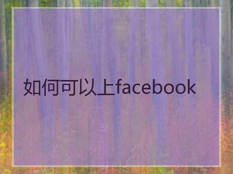 如何可以上facebook