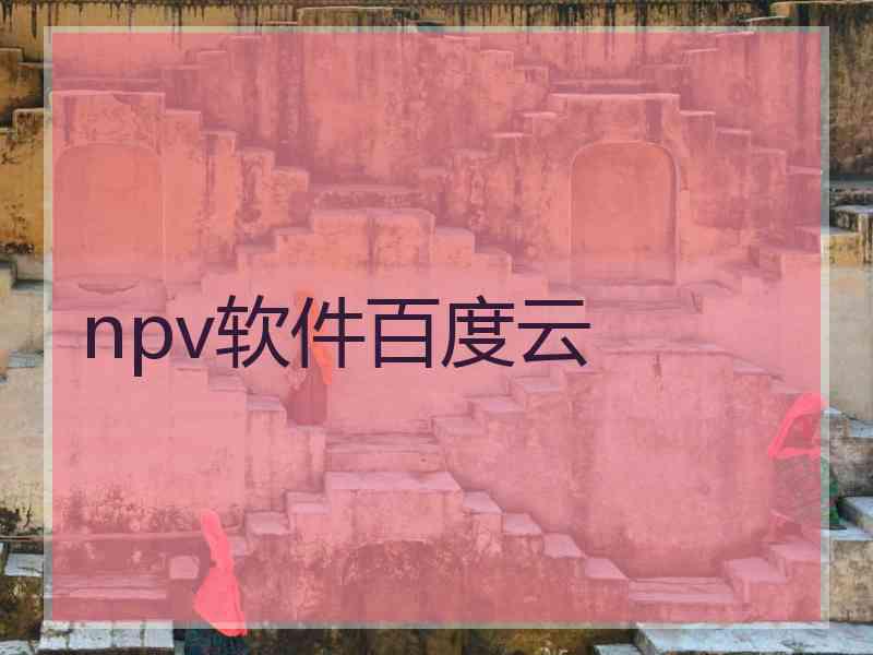 npv软件百度云