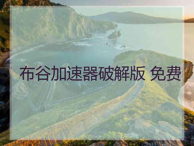 布谷加速器破解版 免费