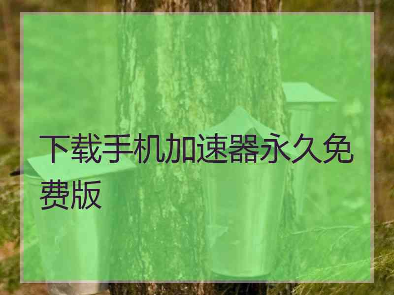 下载手机加速器永久免费版