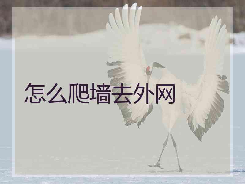 怎么爬墙去外网