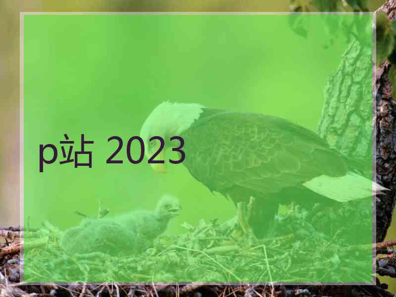 p站 2023