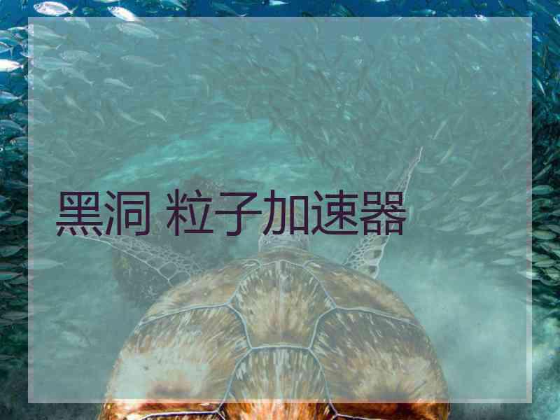 黑洞 粒子加速器
