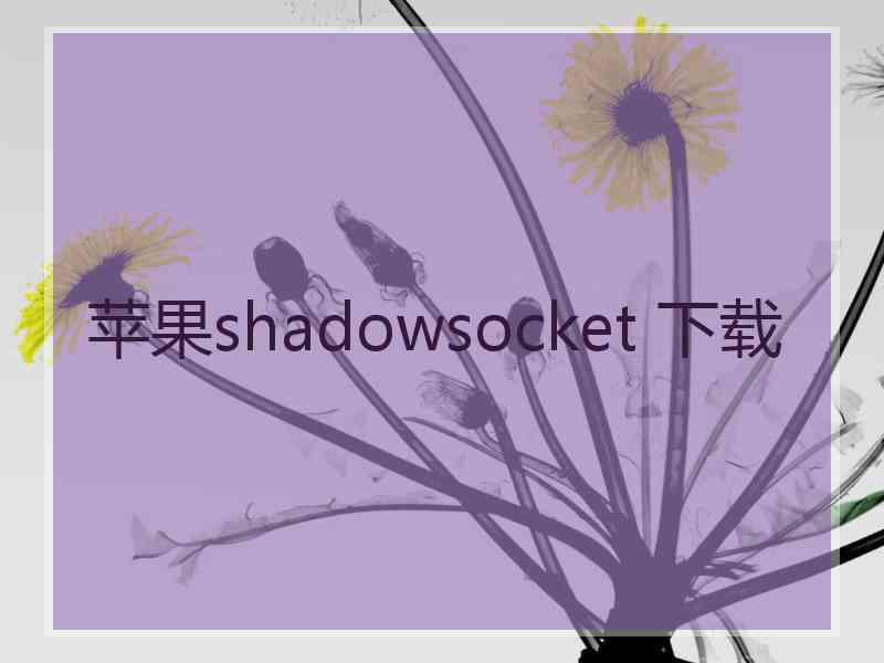 苹果shadowsocket 下载