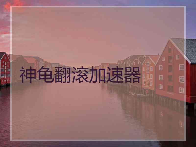 神龟翻滚加速器
