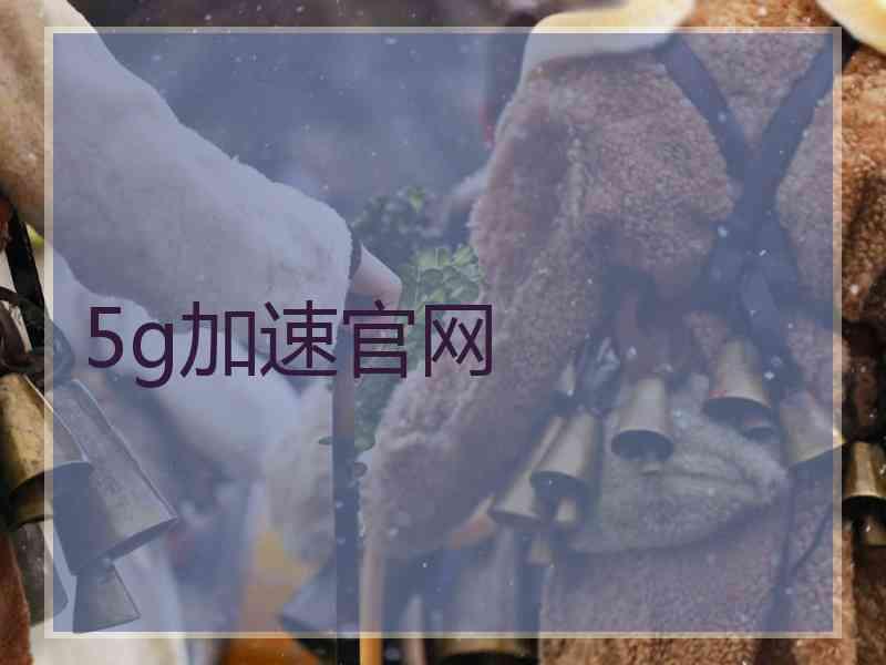 5g加速官网