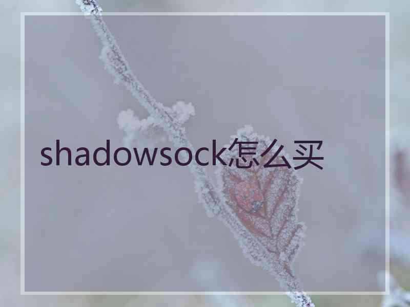 shadowsock怎么买