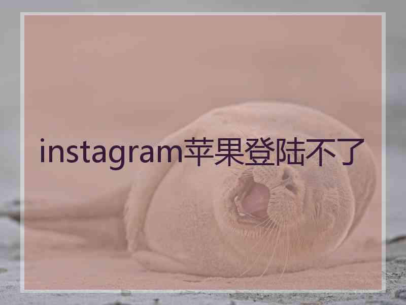 instagram苹果登陆不了