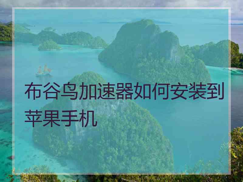 布谷鸟加速器如何安装到苹果手机