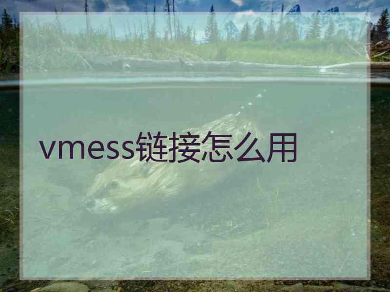 vmess链接怎么用