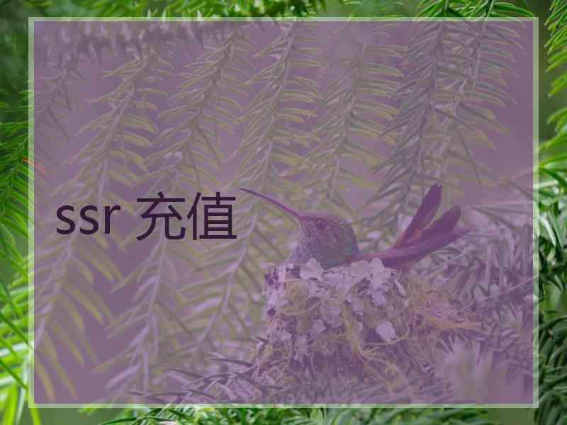 ssr 充值
