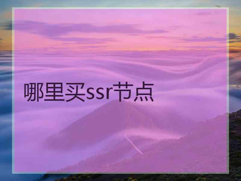 哪里买ssr节点