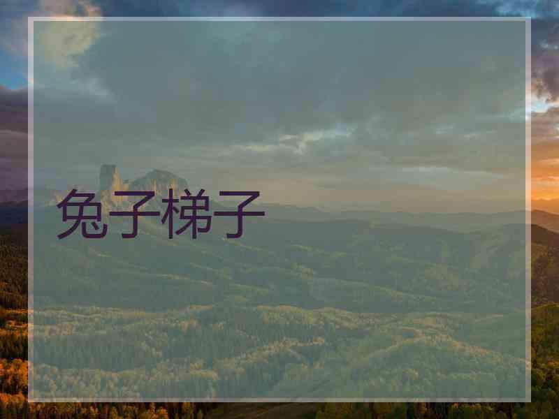 兔子梯子
