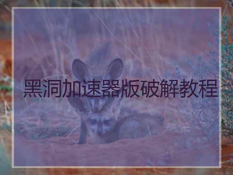 黑洞加速器版破解教程