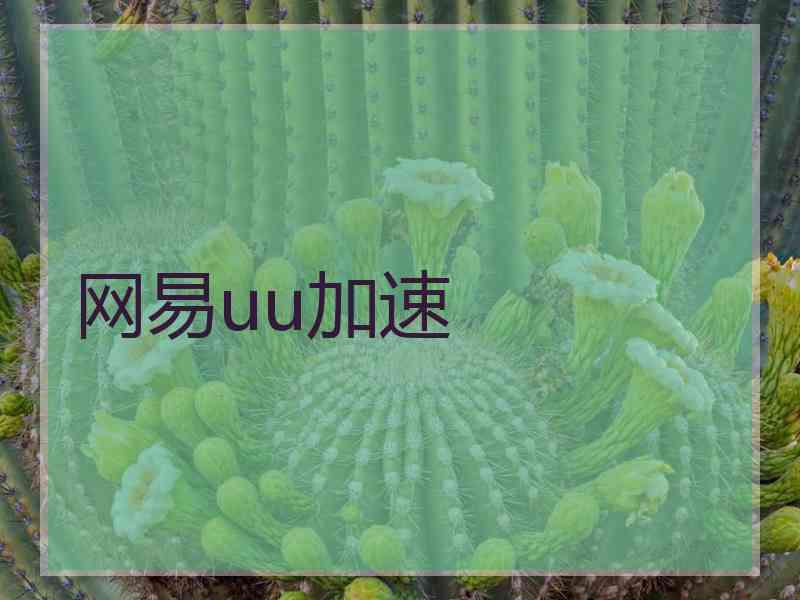 网易uu加速