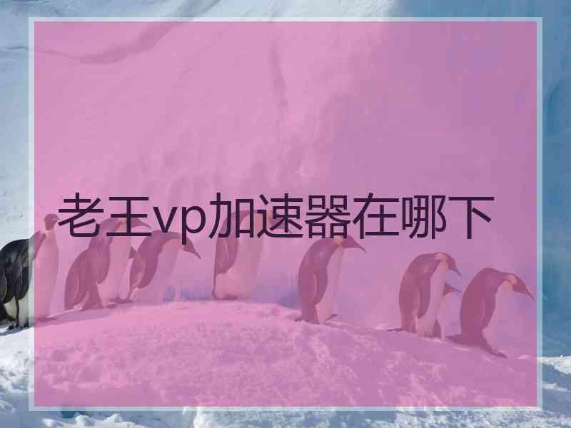 老王vp加速器在哪下