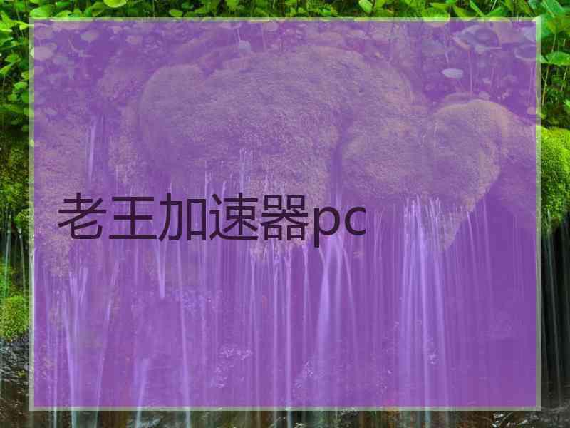 老王加速器pc