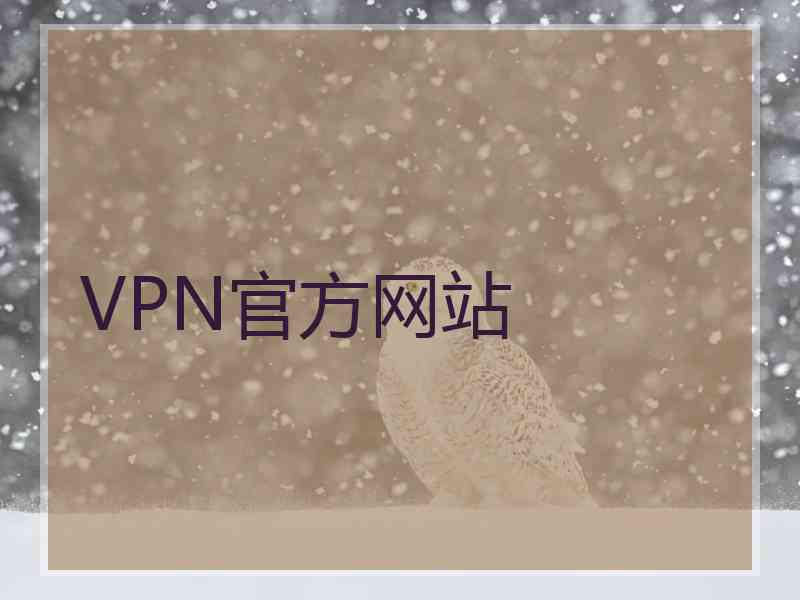 VPN官方网站