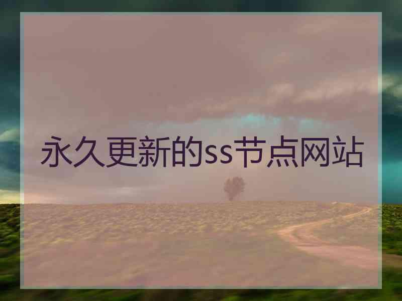 永久更新的ss节点网站
