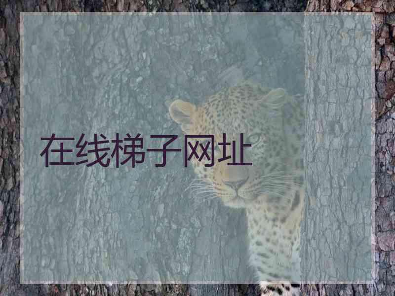 在线梯子网址