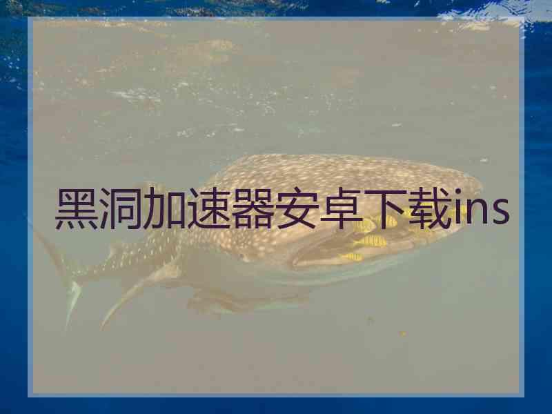 黑洞加速器安卓下载ins