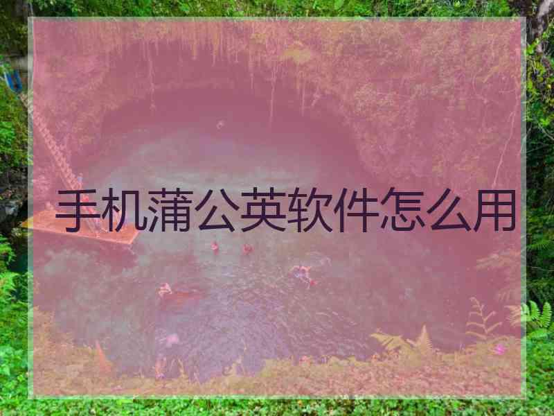手机蒲公英软件怎么用