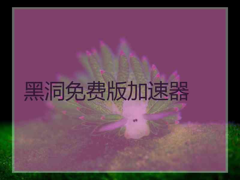 黑洞免费版加速器