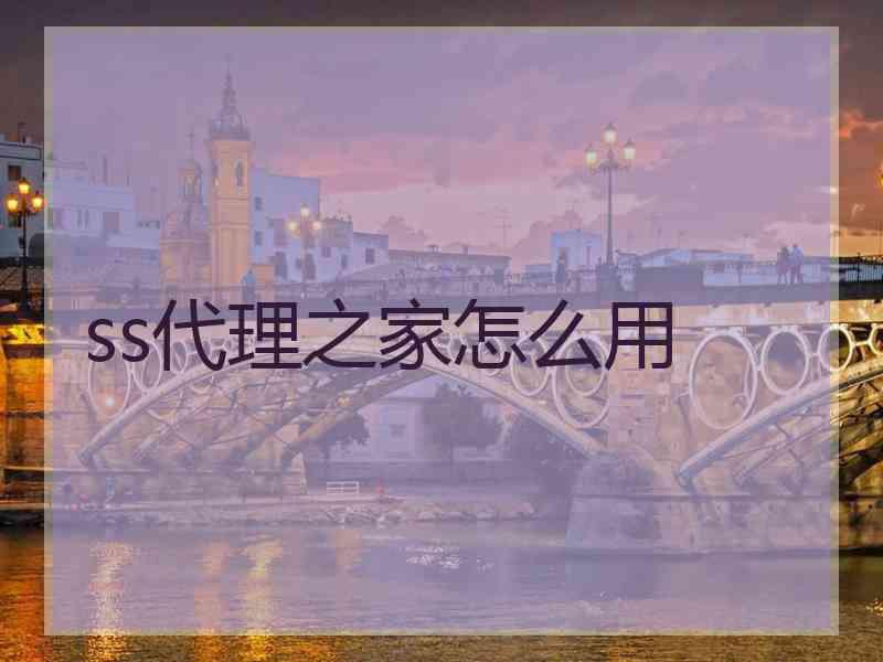 ss代理之家怎么用