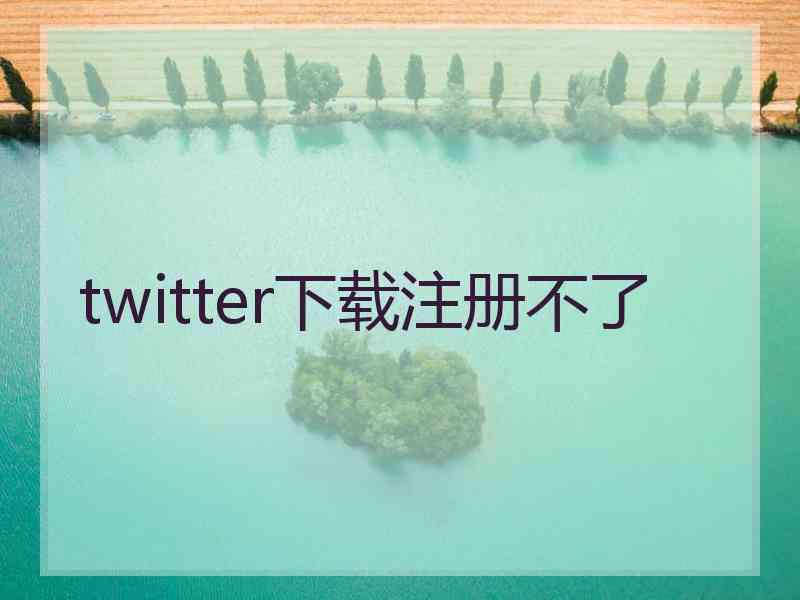 twitter下载注册不了