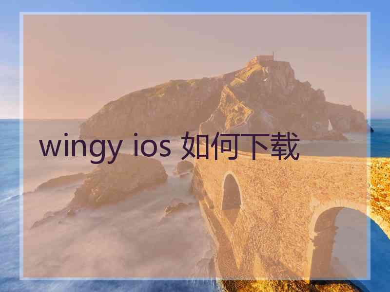 wingy ios 如何下载