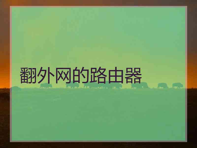 翻外网的路由器