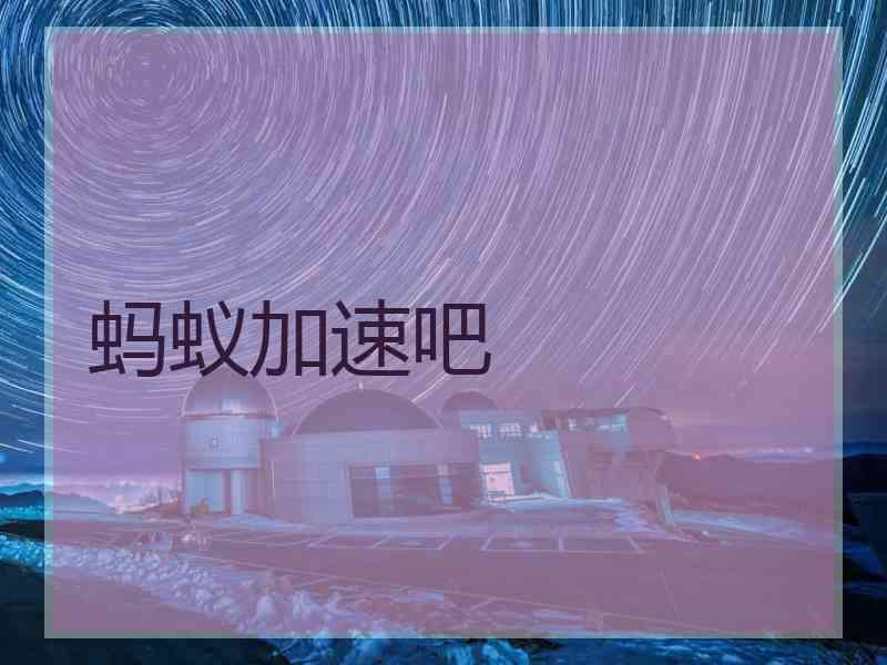 蚂蚁加速吧