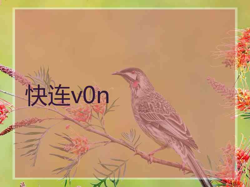 快连v0n