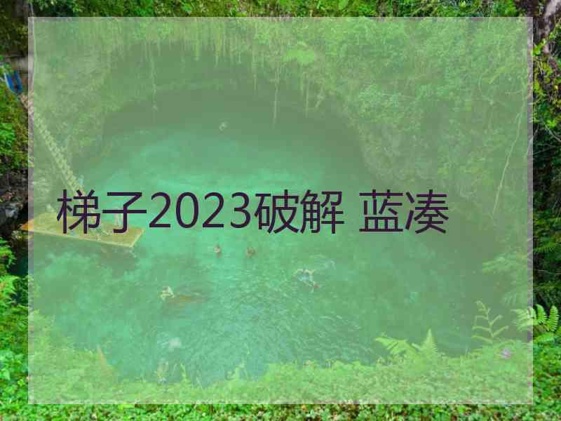 梯子2023破解 蓝凑