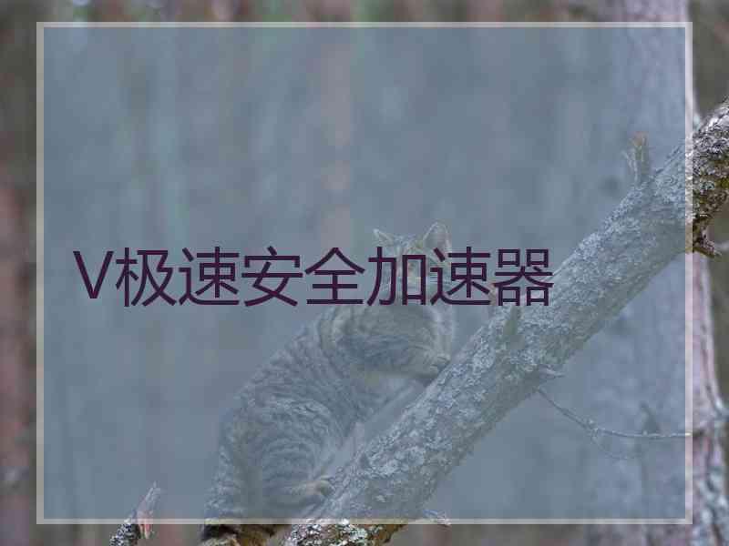 V极速安全加速器