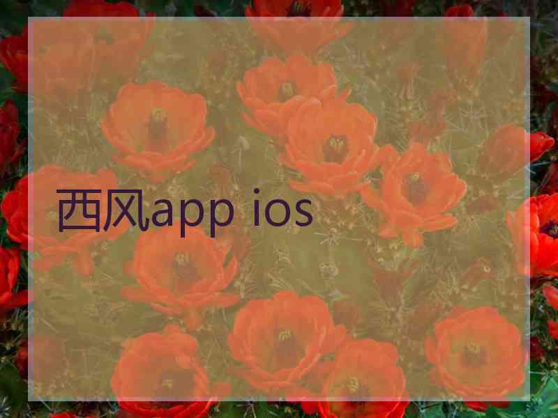 西风app ios