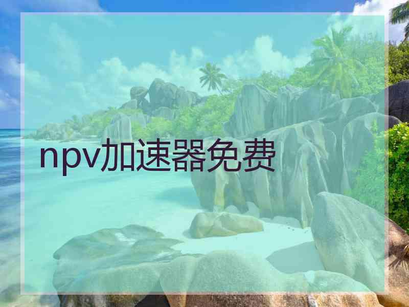npv加速器免费