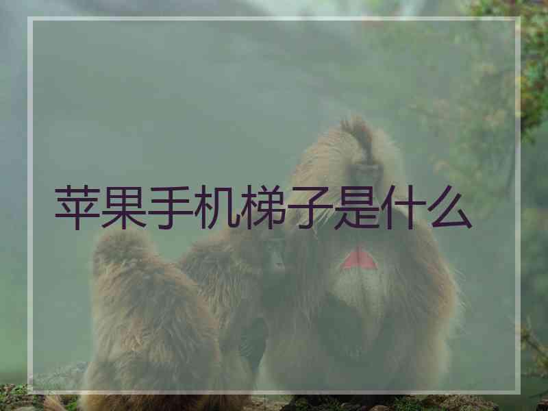 苹果手机梯子是什么