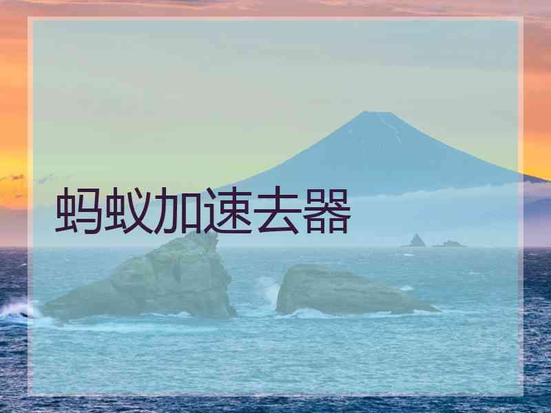 蚂蚁加速去器