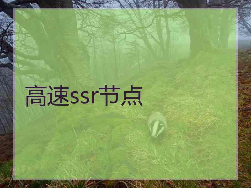 高速ssr节点