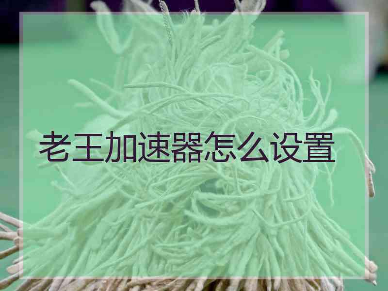 老王加速器怎么设置