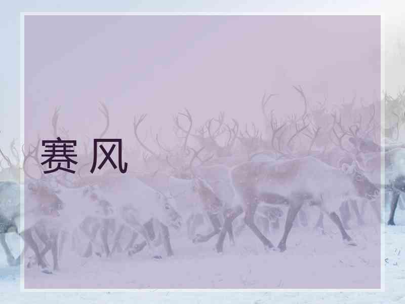 赛 风