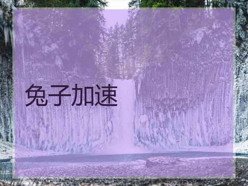 兔子加速