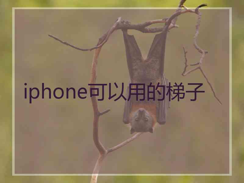 iphone可以用的梯子