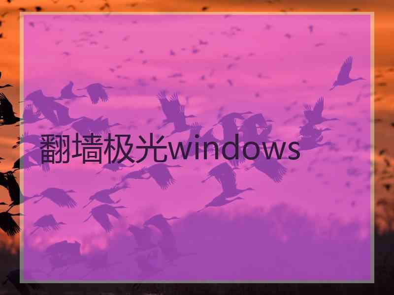 翻墙极光windows