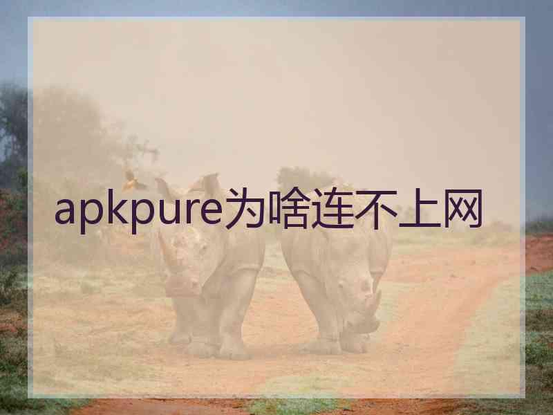 apkpure为啥连不上网