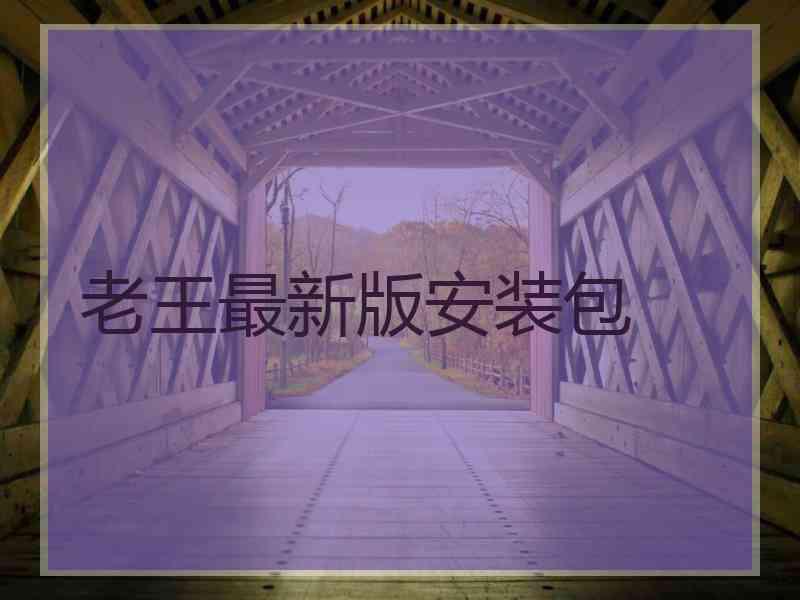 老王最新版安装包