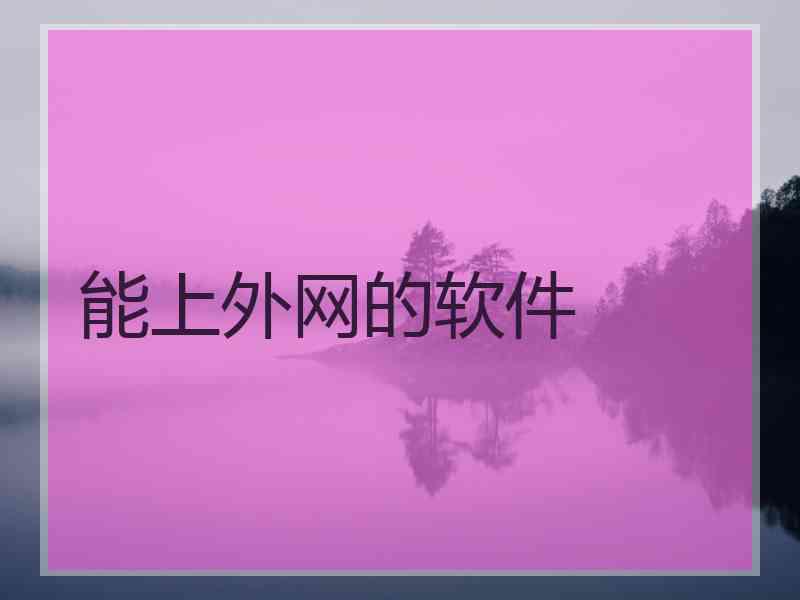 能上外网的软件