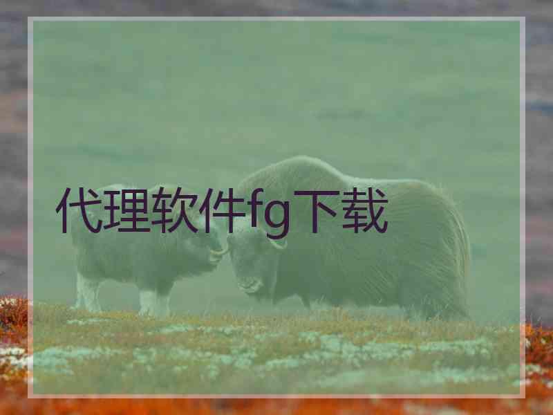 代理软件fg下载
