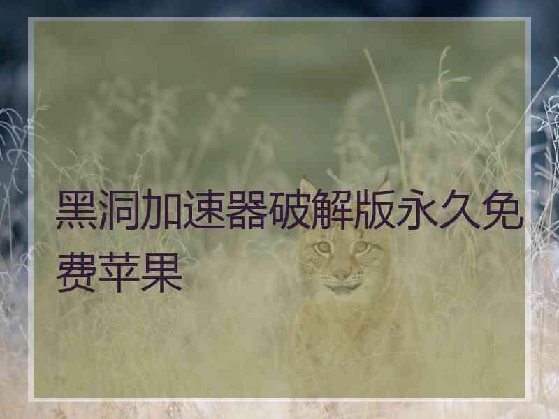 黑洞加速器破解版永久免费苹果